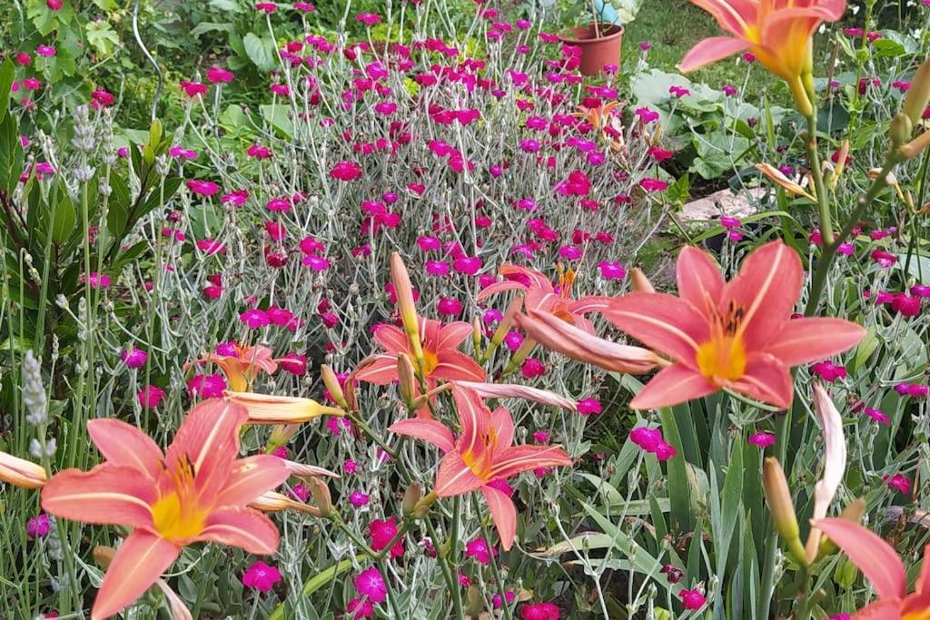 Gite Les Lilas La Genevraye Eksteriør billede